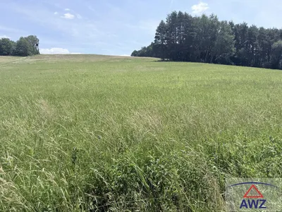 Grundstück kaufen in Güssing – 44 100 m² – Bild 2 von 4