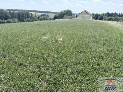 Grundstück kaufen in Güssing – 44 100 m² – Bild 4 von 4