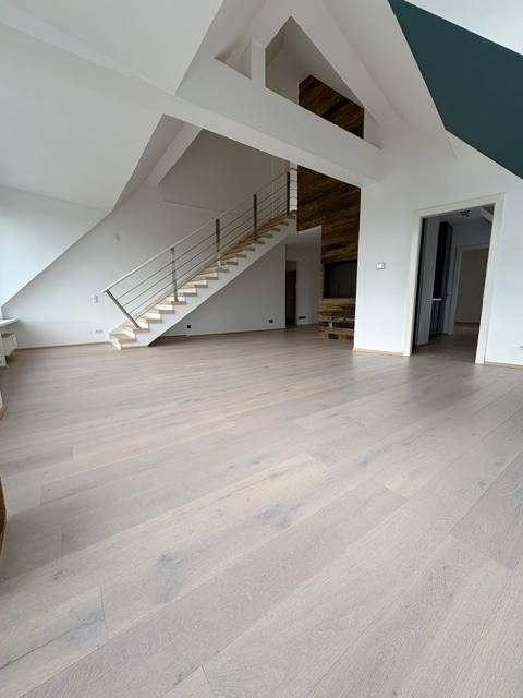 Großzügige Penthousewohnung am Schillerpark, Linz