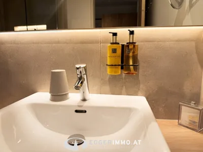 1-Zimmer-Wohnung kaufen in Zell am See – 38,33 m², € 298.000 – Bild 8 von 23