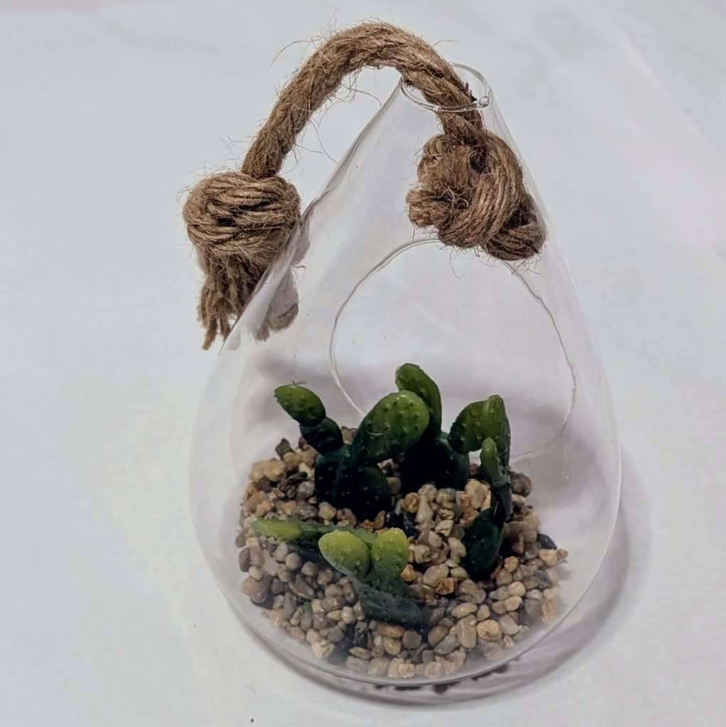 Deko Kaktus in Glas,  2,- (4614 Marchtrenk) - willhaben