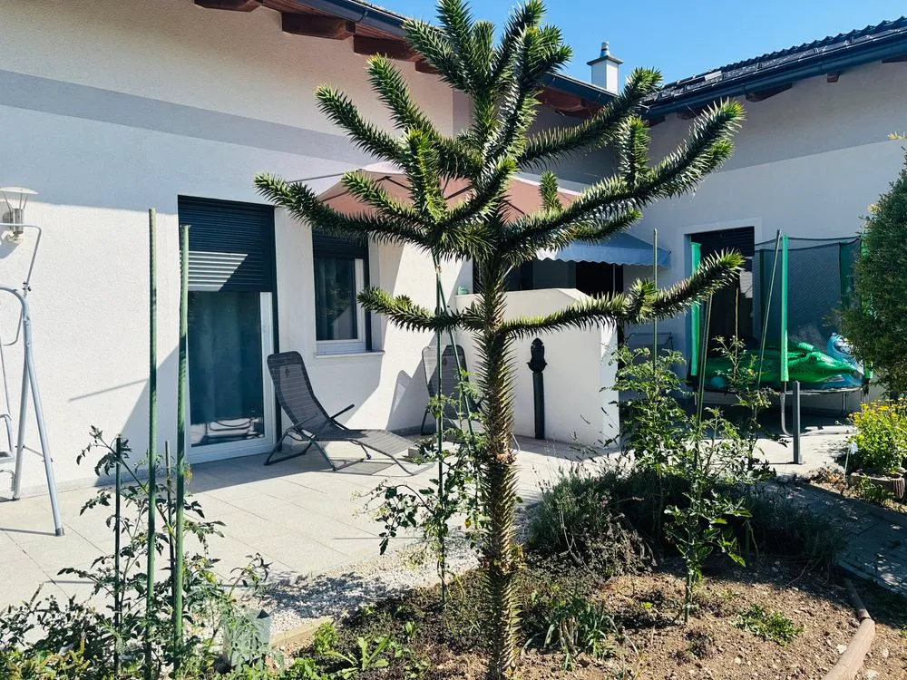 Haus – Schalchen, Unterlochen - Ansicht 2