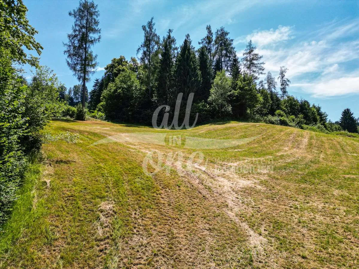 Sonniges Baugrundstück in Moosburg - Ruhige Lage am Waldrand (Nr.2) – pohled 3