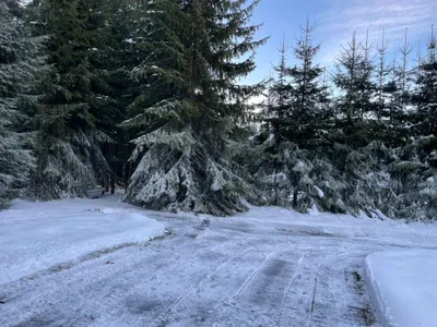 5-Zimmer-Haus kaufen in Gmunden – 185 m², € 979.000 – Bild 10 von 13