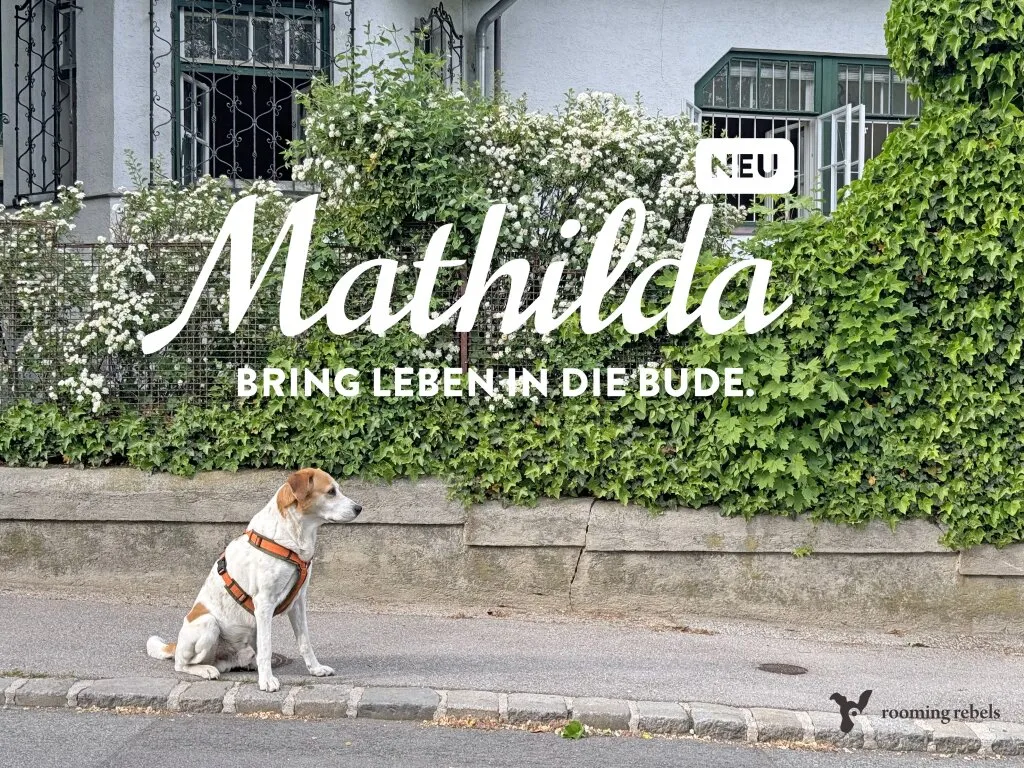Mathilda das charmante Chaos aus der Gebirgsgasse und ich erzähle euch meine Geschichte, Wien