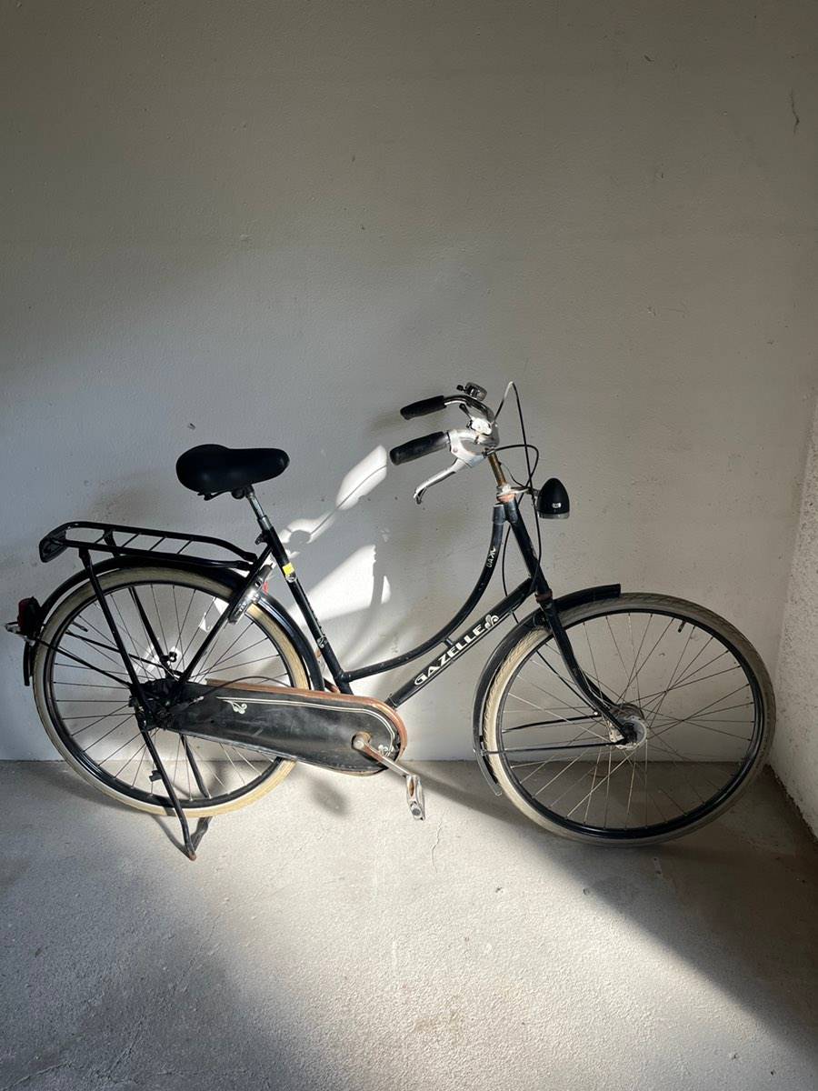 Gazelle Fahrrad kaufen - willhaben