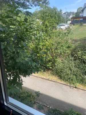 3-Zimmer-Wohnung mieten in Hartberg-Fürstenfeld – 67 m², € 795 – Bild 7 von 13