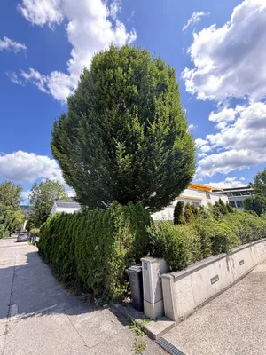 3-Zimmer-Wohnung kaufen in Salzburg Stadt – 84,16 m², € 870.000 – Bild 29 von 30