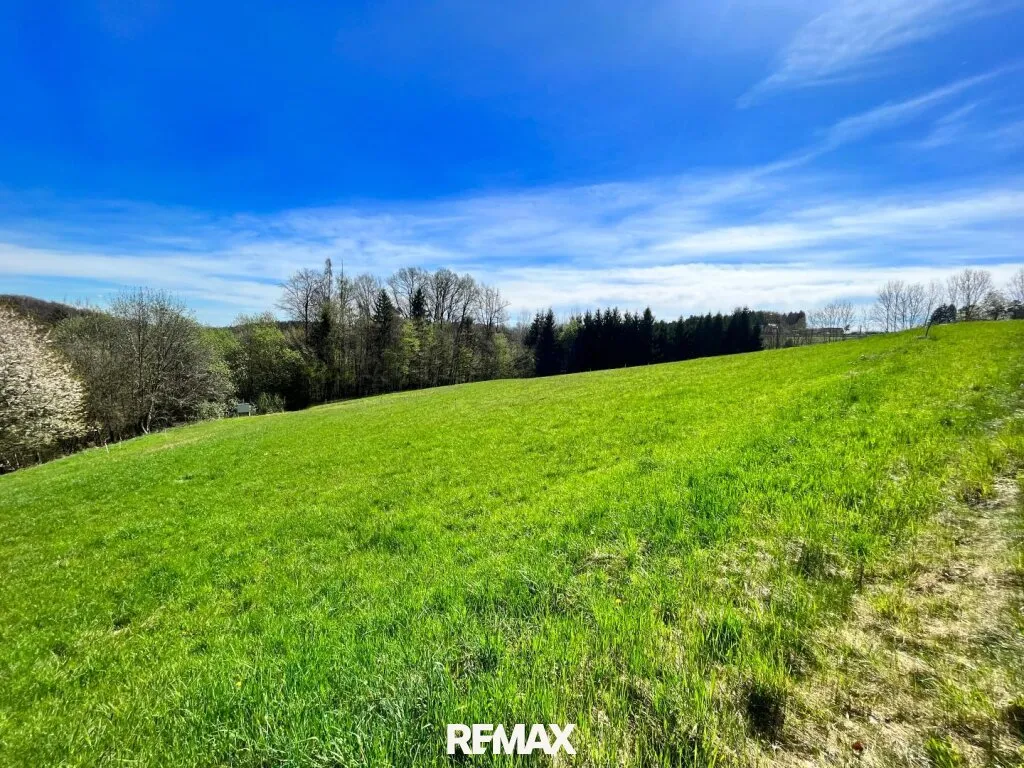 SOMMERAKTION - RIES: 590 m² sonniges Baugrundstück nahe Graz! - Ansicht 2