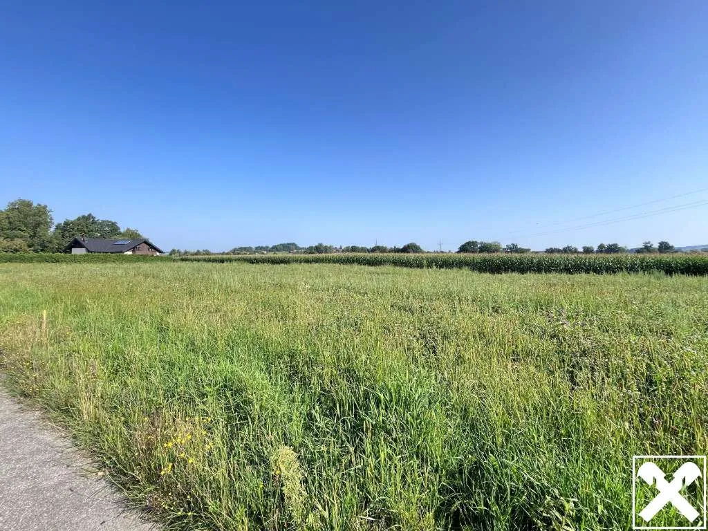 Ebener Baugrund in sonniger Ortsrandlage - Ansicht 3