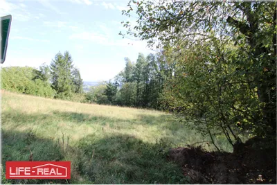 Grundstück kaufen in Vöcklabruck – 3 997 m², € 189.000 – Bild 3 von 13