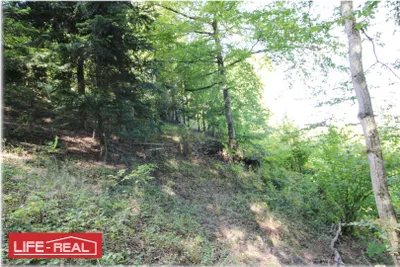Grundstück kaufen in Vöcklabruck – 3 997 m², € 189.000 – Bild 9 von 13