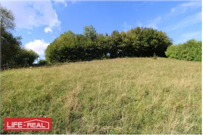 Grundstück kaufen in Vöcklabruck – 3 997 m², € 189.000 – Bild 2 von 13