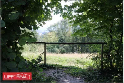 Grundstück kaufen in Vöcklabruck – 3 997 m², € 189.000 – Bild 11 von 13