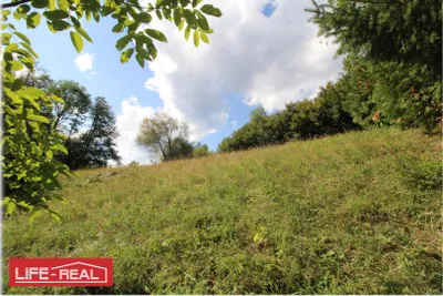 Grundstück kaufen in Vöcklabruck – 3 997 m², € 189.000 – Bild 10 von 13