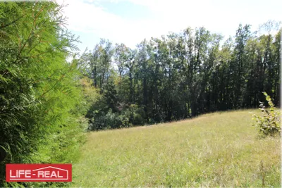 Grundstück kaufen in Vöcklabruck – 3 997 m², € 189.000 – Bild 8 von 13
