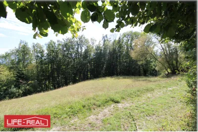 Grundstück kaufen in Vöcklabruck – 3 997 m², € 189.000 – Bild 4 von 13
