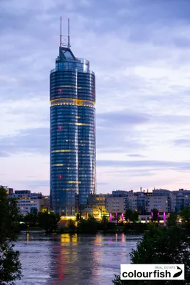 Gewerbeimmobilie mieten in Wien – 162 m², € 4.763 – Bild 2 von 13