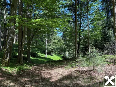 Grundstück kaufen in Ried im Innkreis – 25 126 m², € 120.000 – Bild 2 von 4