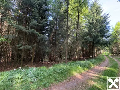 Grundstück kaufen in Ried im Innkreis – 25 126 m², € 120.000 – Bild 4 von 4