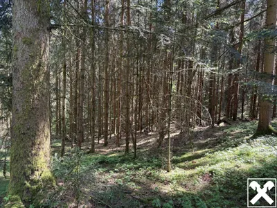 Grundstück kaufen in Ried im Innkreis – 25 126 m², € 120.000 – Bild 3 von 4