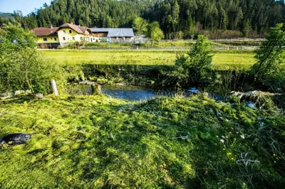4-Zimmer-Haus mieten in Lilienfeld – 70 m², € 835 – Bild 18 von 19