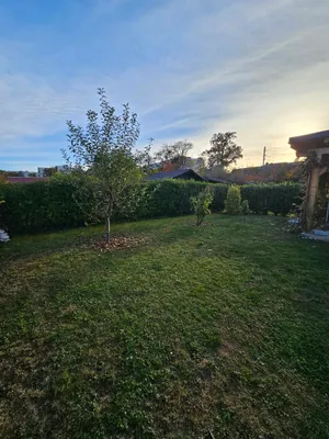 Immobilie kaufen in Graz – 395 m², € 32.000 – Bild 15 von 24