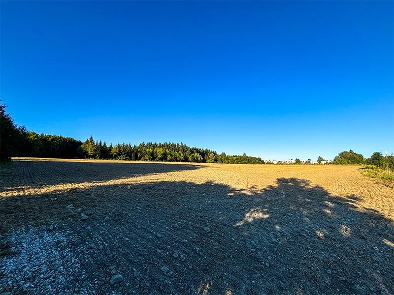 Land & Gut: 4 ha - TOP Feld mit Wald in Wels - Veduta 2