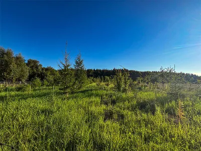 Grundstück kaufen in Wels – 39 772 m², € 900.000 – Bild 7 von 8
