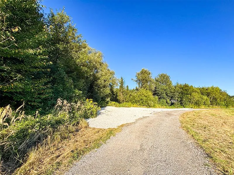 Land & Gut: 4 ha - TOP Feld mit Wald in Wels - Veduta 3