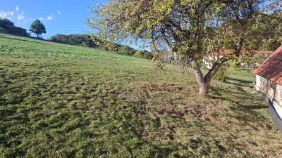 Immobilie kaufen in Südoststeiermark – 145 m², € 135.000 – Bild 15 von 18