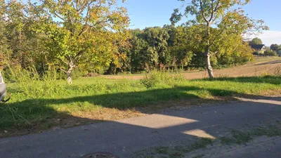 Immobilie kaufen in Südoststeiermark – 145 m², € 135.000 – Bild 8 von 18