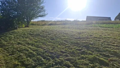 Immobilie kaufen in Südoststeiermark – 145 m², € 135.000 – Bild 14 von 18