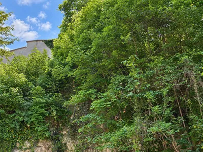 Wohnung kaufen in Salzburg Stadt – 160 m², € 1.685.000 – Bild 12 von 13