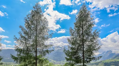 7-Zimmer-Haus kaufen in Zell am See – 166,36 m², € 1.100.000 – Bild 29 von 44