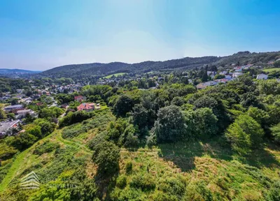Grundstück kaufen in Tulln – 5 530 m² – Bild 6 von 9