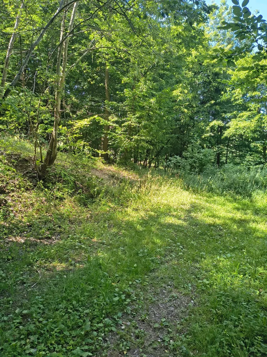 Attraktives Freizeitgrundstück / Waldgrundstück in der Wachau in absoluter Ruhelage - Ansicht 2