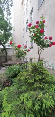 Wohnung kaufen in Wien – 65 m², € 775.000 – Bild 2 von 3