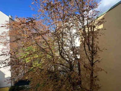 1-Zimmer-Wohnung kaufen in Wien – 52,13 m², € 339.000 – Bild 10 von 17