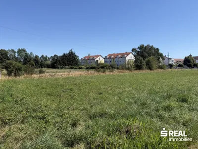 Grundstück kaufen in Eferding – 923 m², € 152.295 – Bild 4 von 6