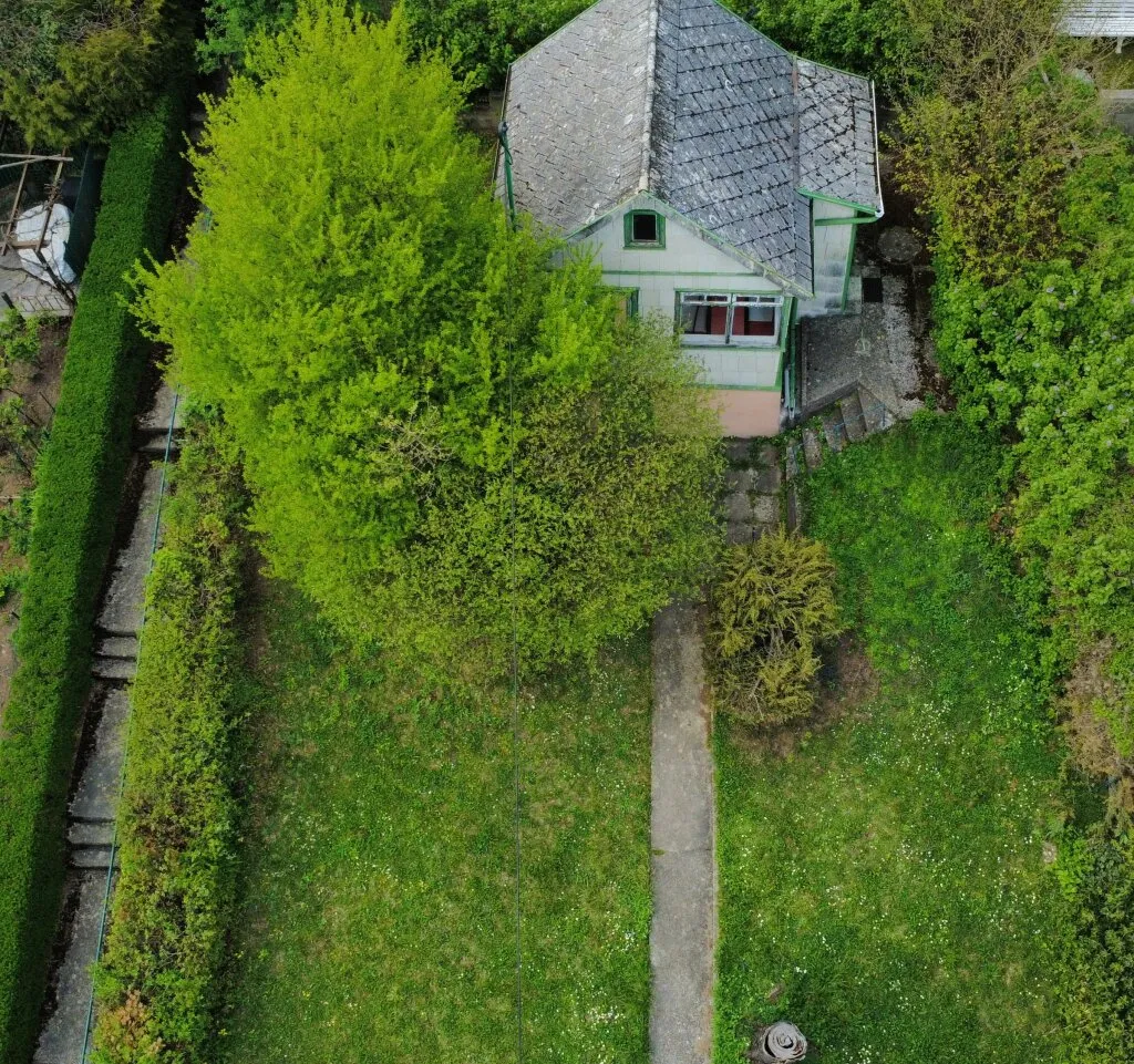 Sonniges Grundstück mit Fernblick in Kleingartensiedlung - 339m² zum Top-Preis! - Ansicht 2