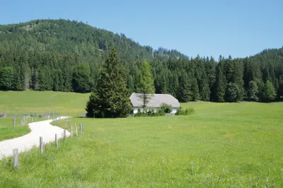 5-Zimmer-Haus mieten in Scheibbs – 100 m², € 800 – Bild 6 von 6