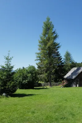 5-Zimmer-Haus mieten in Scheibbs – 100 m², € 800 – Bild 5 von 6