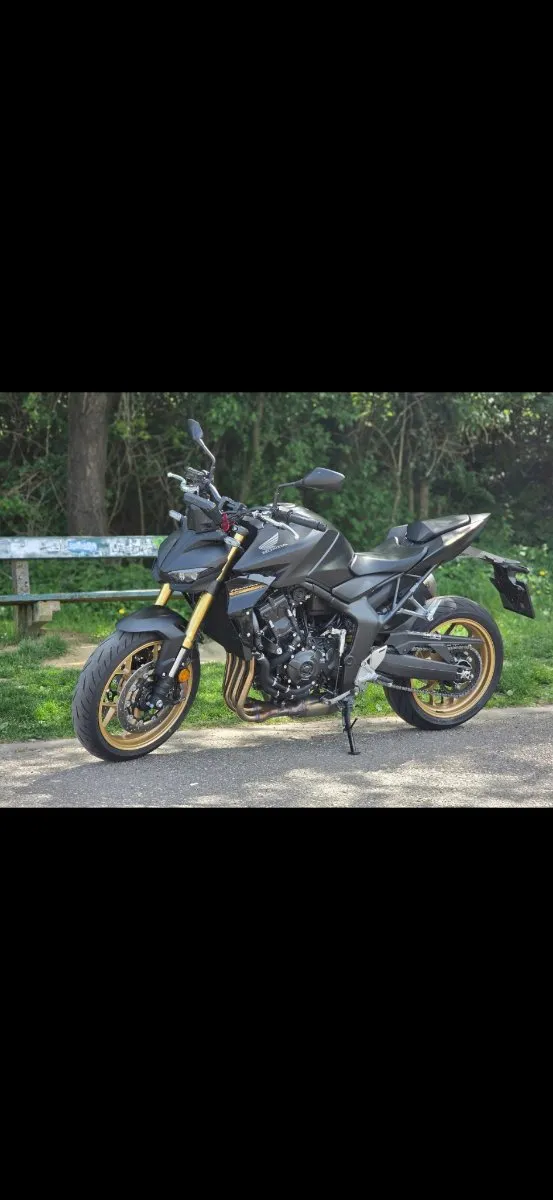 Honda Hornet