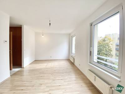 Grünruhelage: Schönes Single-Apartment nähe Augarten – Bild 3