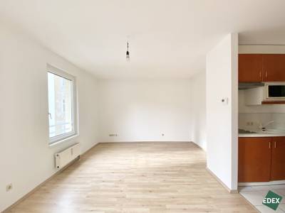 Grünruhelage: Schönes Single-Apartment nähe Augarten – Bild 2