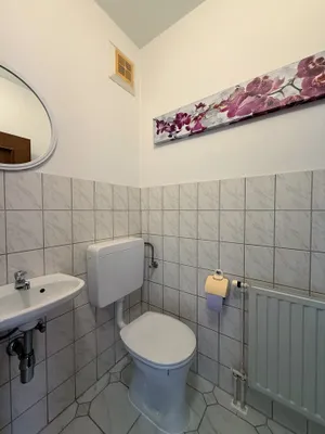 4-Zimmer-Haus kaufen in Südoststeiermark – 100 m², € 249.800 – Bild 9 von 25