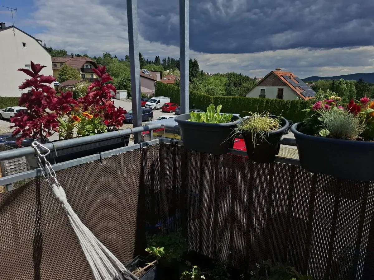 Wohnung – Altlengbach - Ansicht 3