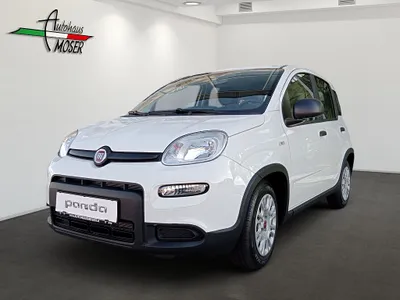 Fiat Panda 4x2 FireFly Hybrid 70 Panda
