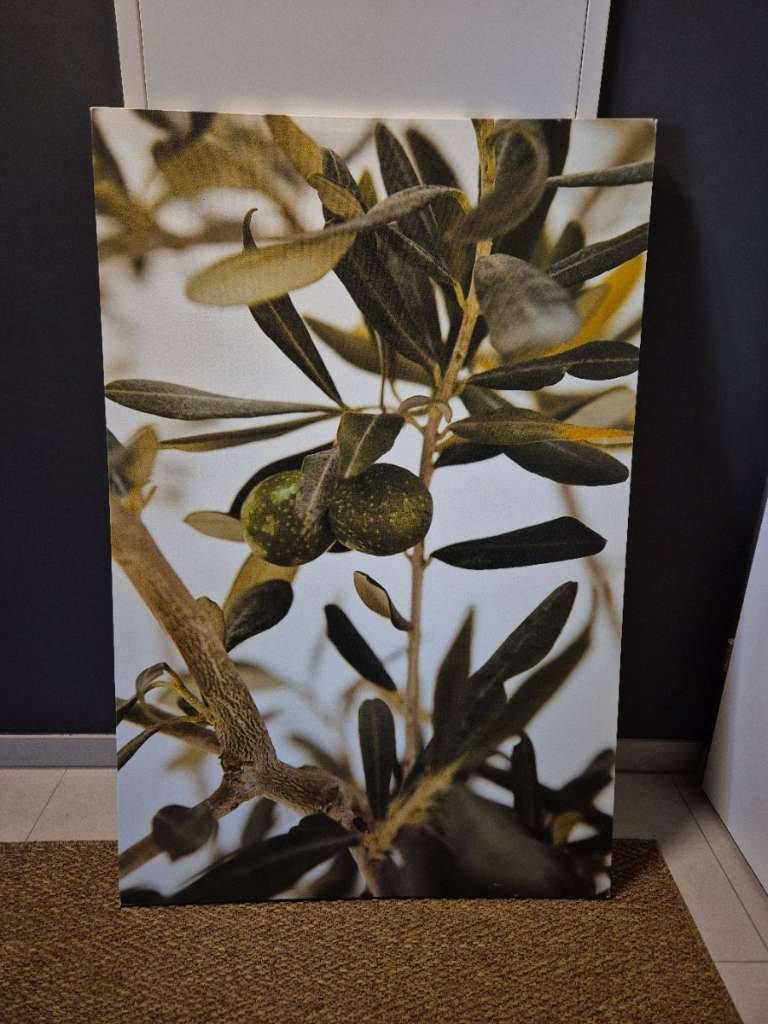 olivenbaum für wohnzimmer Kunstpflanze Olivenbaum – 170 cm main image 1